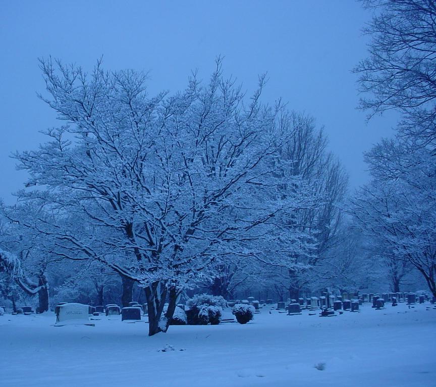 Photography by tweetybirdfan222 for DesignCrowd (Community Contests) | Design #9070367