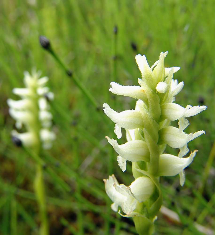 Photographie par whlutz pour DesignCrowd (Community Contests) | Design #9073833