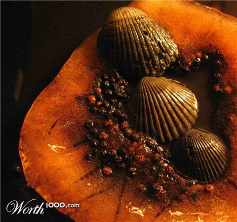 Photography by sheiser