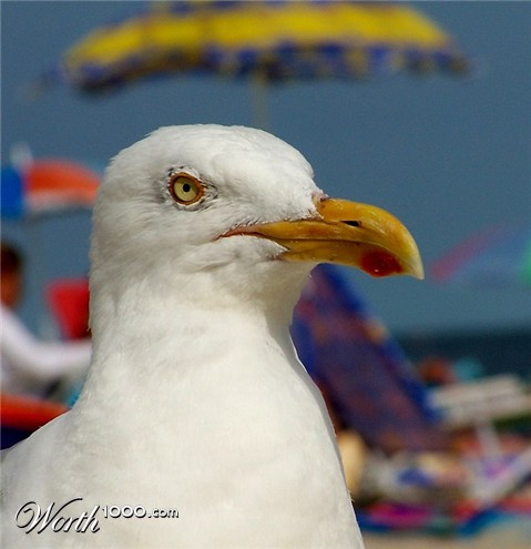 Photography by plushka
