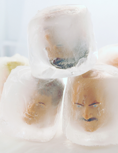 Photography by koalachimbo for DesignCrowd (Community Contests) | Design #9070718