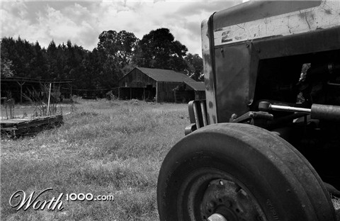 Photography by mlewis
