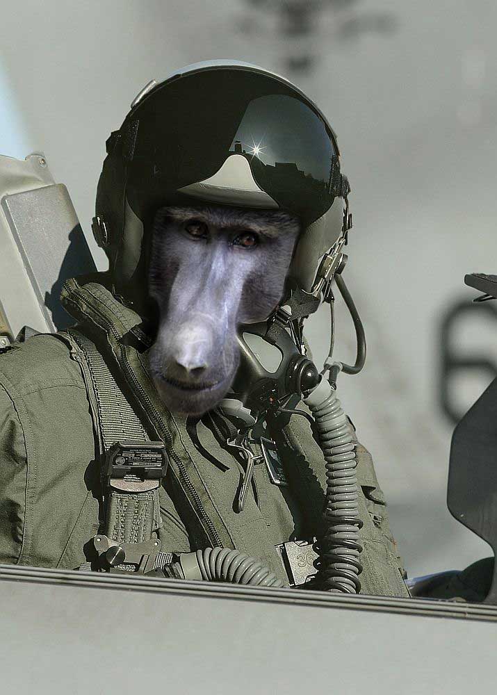 Diseño de Photoshop por maticl para DesignCrowd (Community Contests) | Diseño #9056923