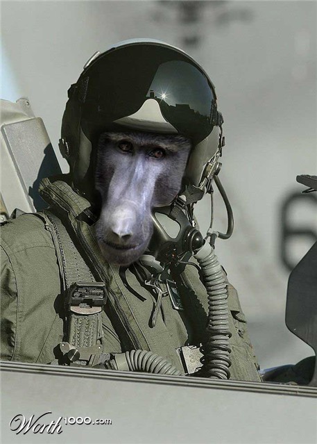 Photoshop Design by maticl