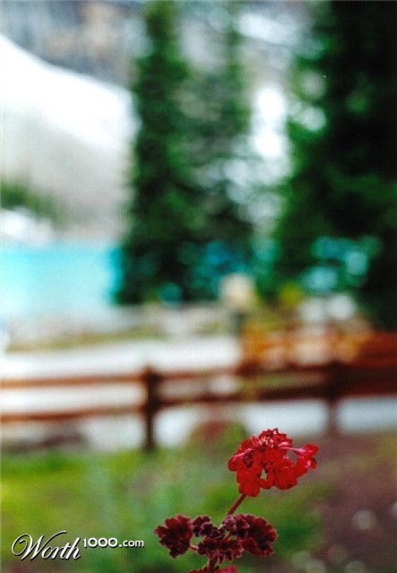 Photography by Isabella2006