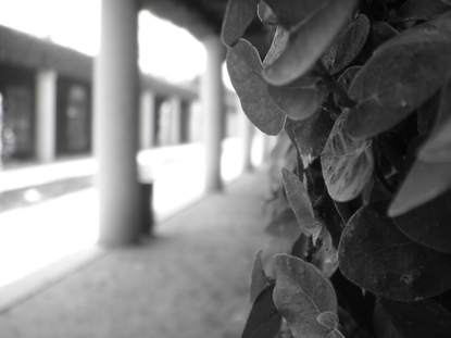 Fotografie von flamehead631 für DesignCrowd (Community Contests) | Design #9073683