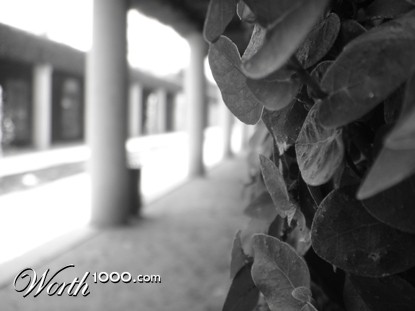 Photography by flamehead631