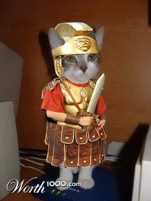 Photoshop Design by Agent019