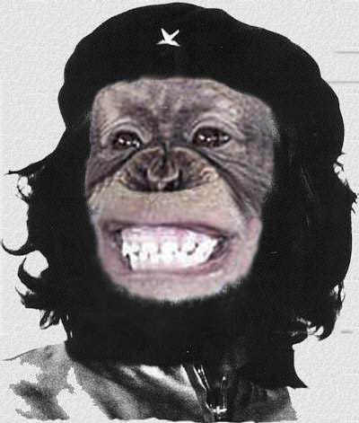 Diseño de Photoshop por ManFromSun para DesignCrowd (Community Contests) | Diseño #9056958