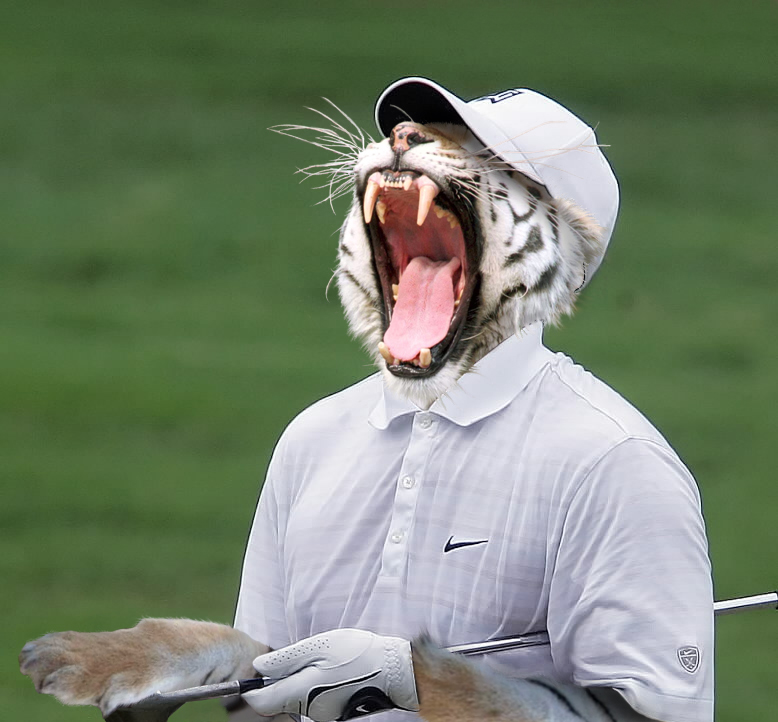 Diseño de Photoshop por soda197 para DesignCrowd (Community Contests) | Diseño #9056953