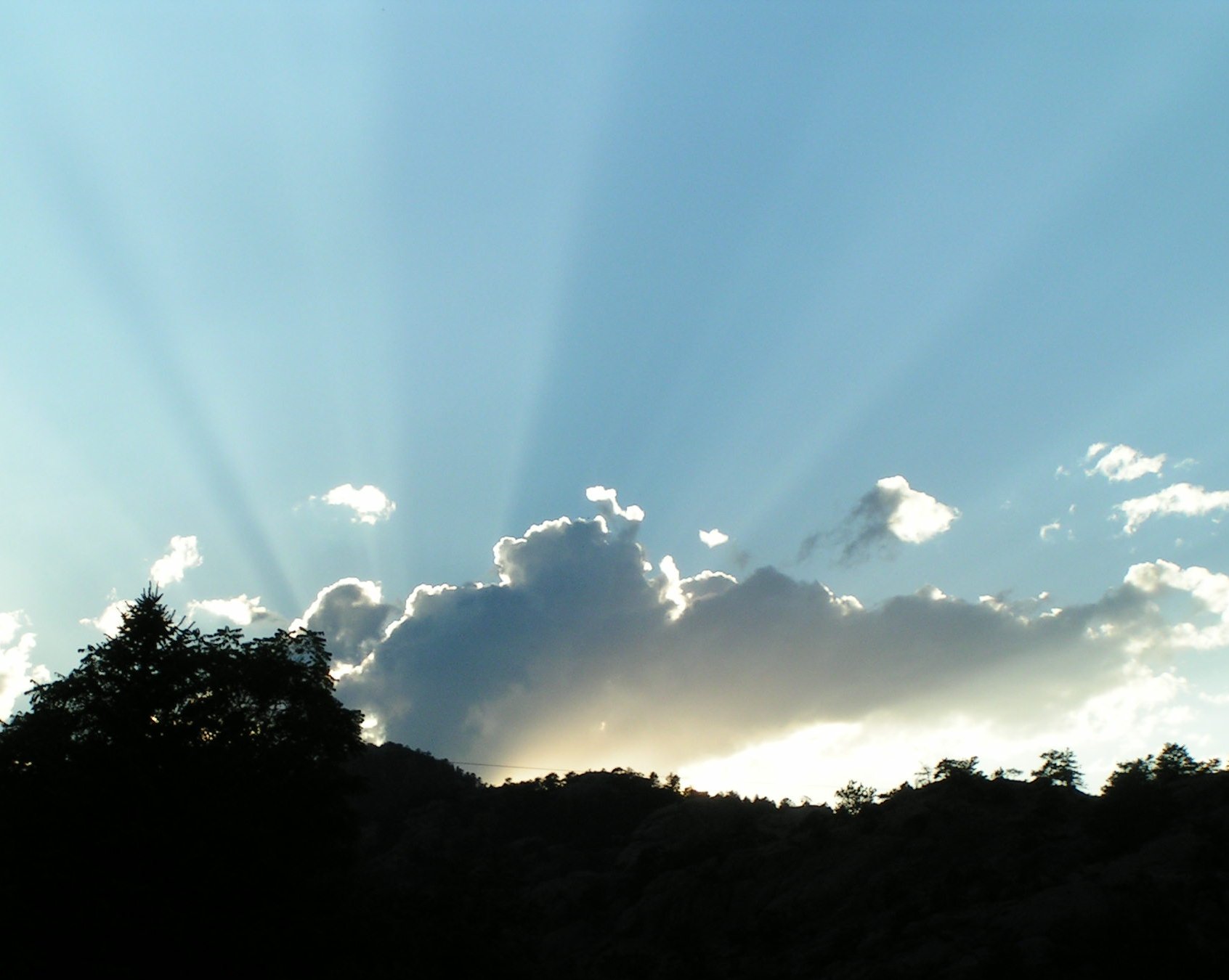 Photography by bc2poo for DesignCrowd (Community Contests) | Design #9070541