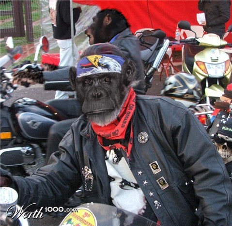 Photoshop Design by jacksonwagner