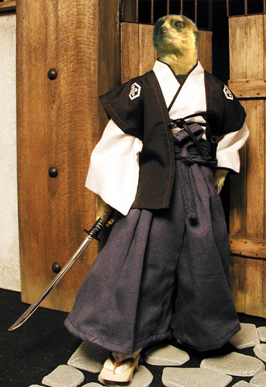 Photoshop Design by PsyZard for DesignCrowd (Community Contests) | Design #9057008