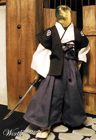 Photoshop Design by PsyZard