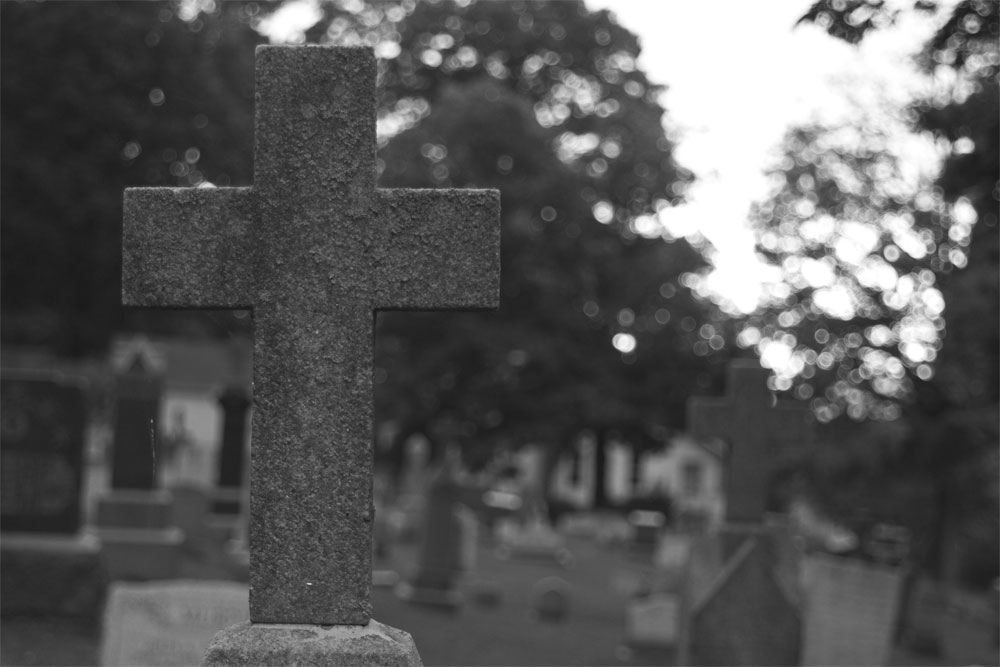 Photography by rubicon for DesignCrowd (Community Contests) | Design #9070341