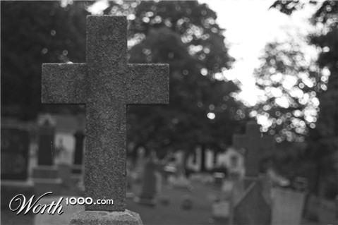 Photography by rubicon