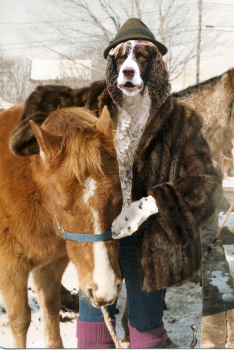 Design Photoshop par bevissimo pour DesignCrowd (Community Contests) | Design #9056974