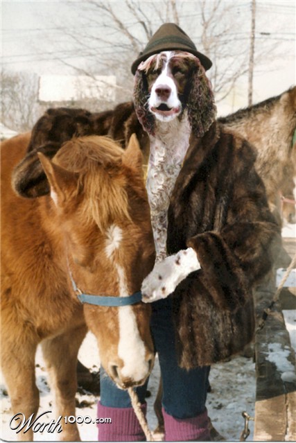 Photoshop Design by bevissimo