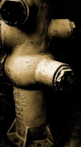 Fotografie von tlovesd für DesignCrowd (Community Contests) | Design #9061469