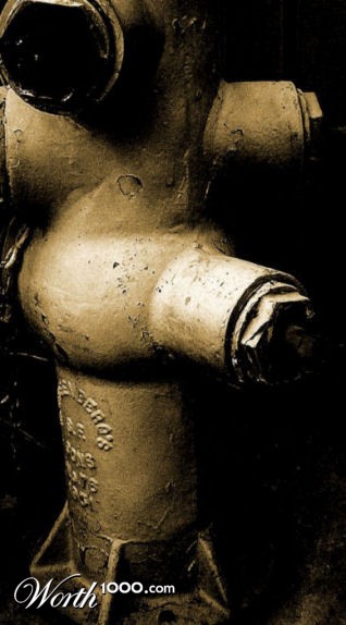 Photography by tlovesd