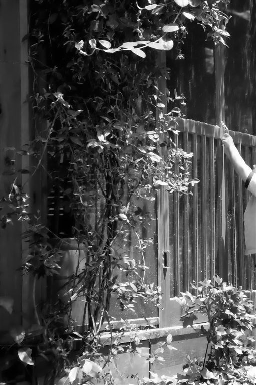 Photographie par modine pour DesignCrowd (Community Contests) | Design #9063013