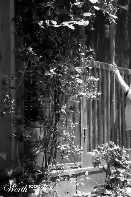 Photography by modine