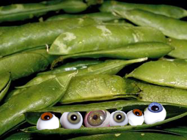 Photoshop Design by Ivor121 for DesignCrowd (Community Contests) | Design #9067898