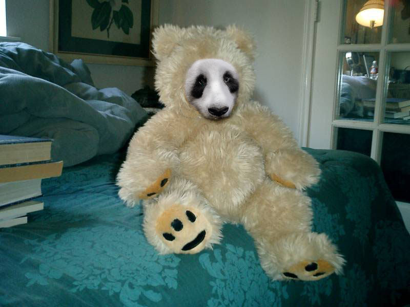 Photoshop Design by bcgirl007 for DesignCrowd (Community Contests) | Design #9057131