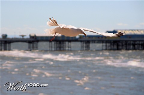 Photography by Alnath