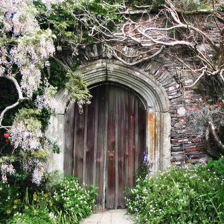 Photography by theLimeyBrit for DesignCrowd (Community Contests) | Design #9063001