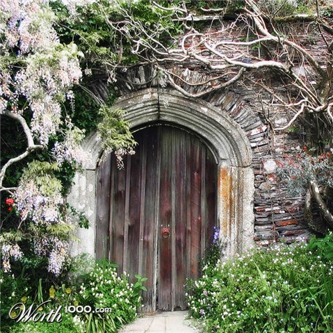 Photography by theLimeyBrit