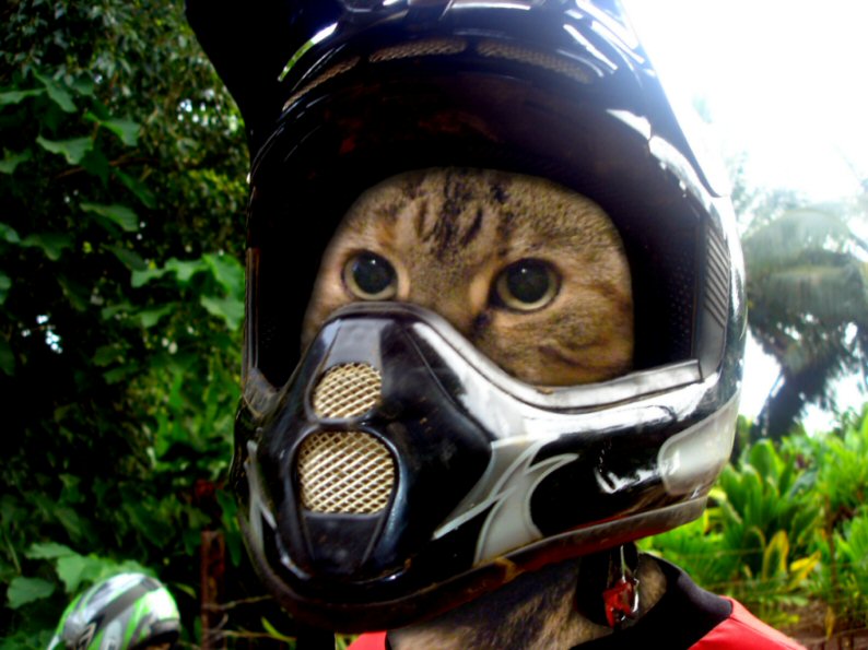 Design Photoshop par Pazaahhh pour DesignCrowd (Community Contests) | Design #9057028