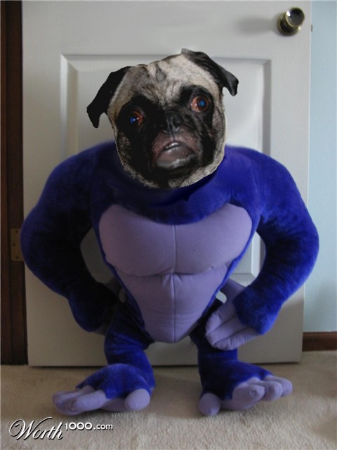 Photoshop Design by Scully