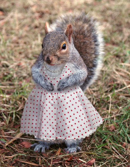 Photoshop Design by FlowerofTelperion for DesignCrowd (Community Contests) | Design #9057021