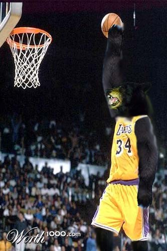 Photoshop Design by hockey34
