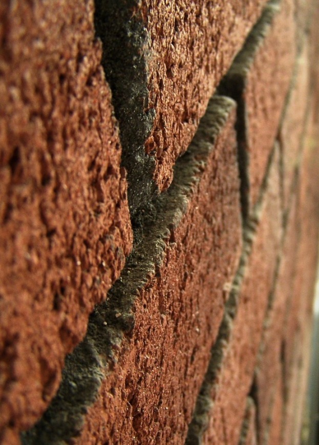 Photographie par TotalDomination pour DesignCrowd (Community Contests) | Design #9073772