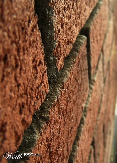 Photography by TotalDomination