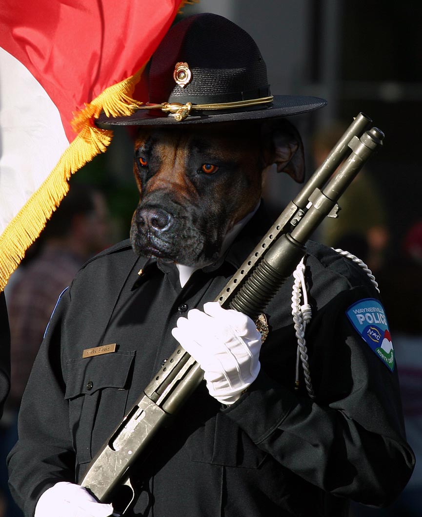 Diseño de Photoshop por nilvis para DesignCrowd (Community Contests) | Diseño #9057046