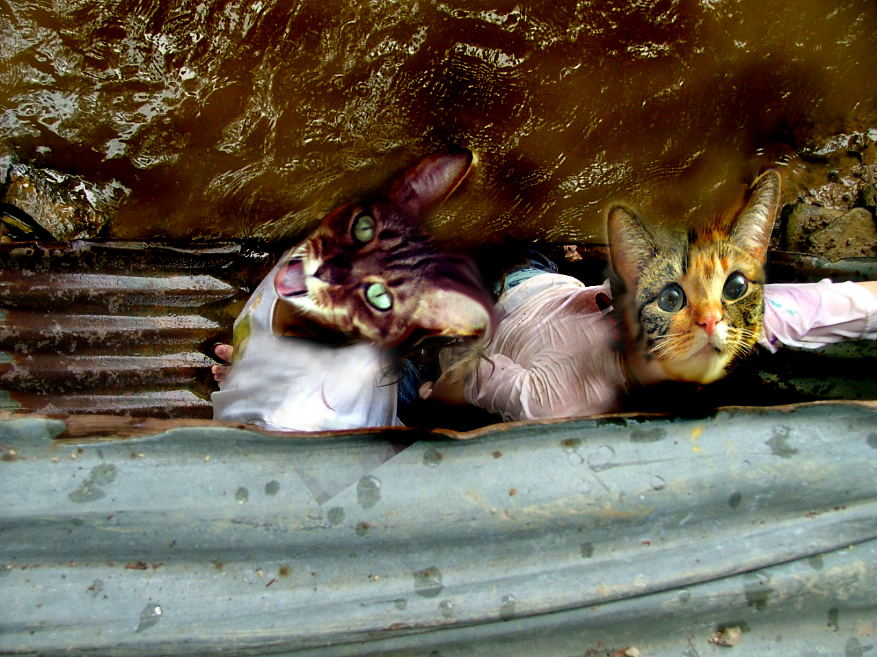 Photoshop Design by redsonyaluc for DesignCrowd (Community Contests) | Design #9057128