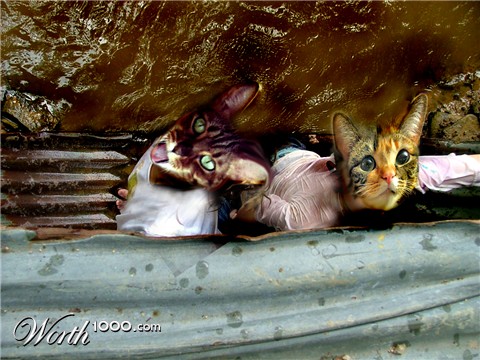 Photoshop Design by redsonyaluc