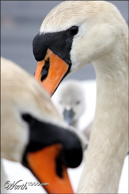 Photography by itzhak