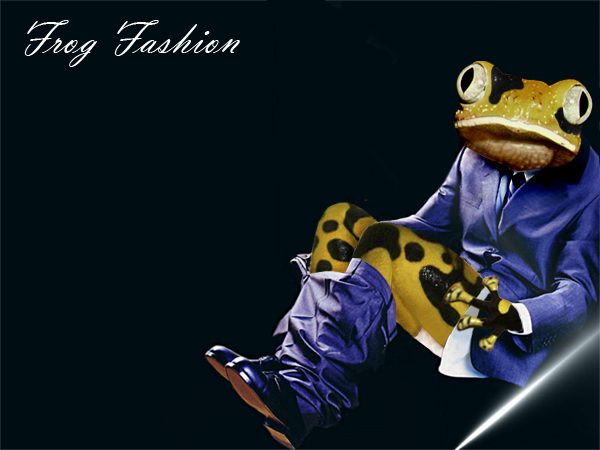 Photoshop Design by danielqr for DesignCrowd (Community Contests) | Design #9057178