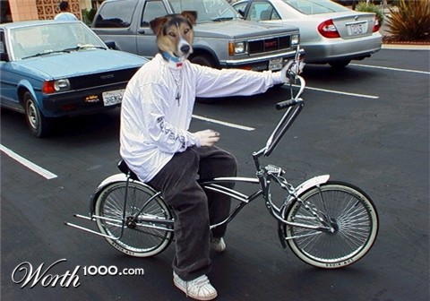 Photoshop Design by Stanza