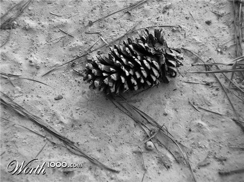 Photography by Mandirio