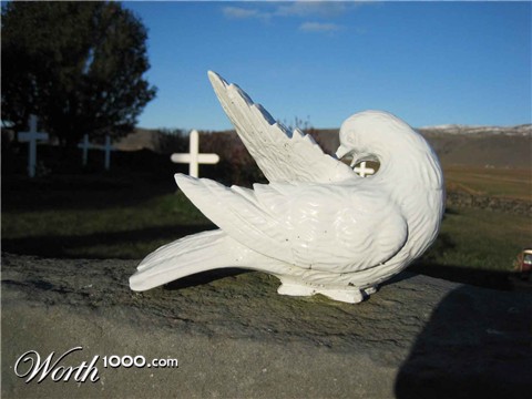 Photography by Maddyy