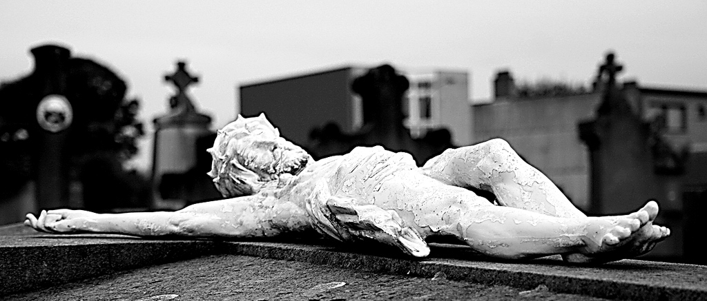 Photography by anviss for DesignCrowd (Community Contests) | Design #9070538