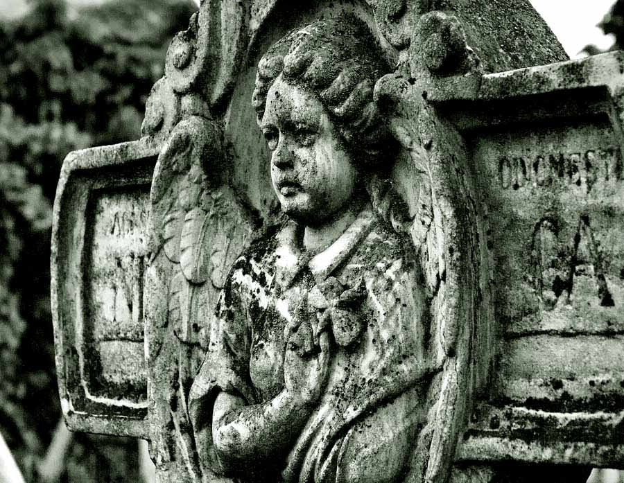 Photography by attacker for DesignCrowd (Community Contests) | Design #9070550