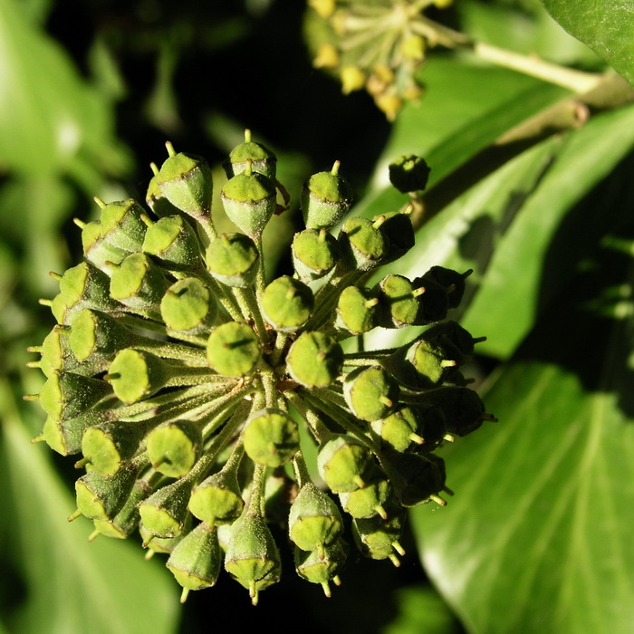 Photography by mzmzmzmz for DesignCrowd (Community Contests) | Design #9073735