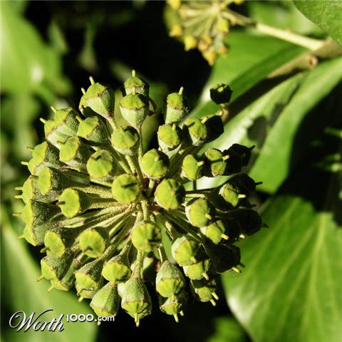 Photography by mzmzmzmz