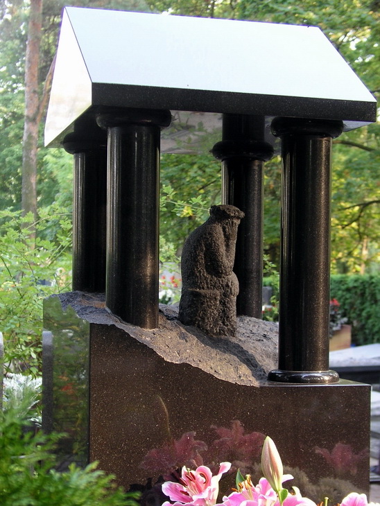 Photography by mzmzmzmz for DesignCrowd (Community Contests) | Design #9070503